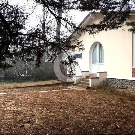 Sous Les Pins Pour 8 A - Fr-1-194-435 La Tranche-sur-Mer