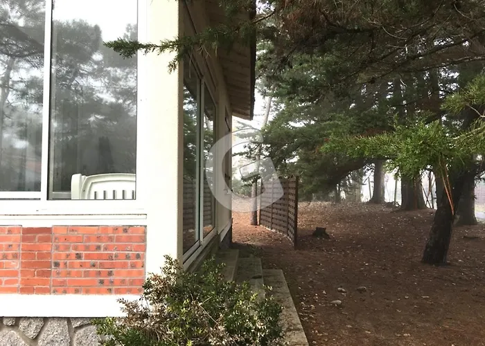 Hébergement de vacances Sous Les Pins Pour 8 à - Fr-1-194-435